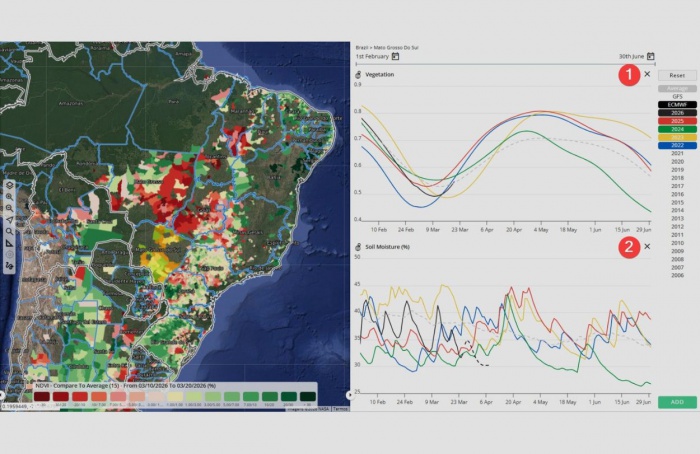 Milho safrinha avança, mas calor acende alerta no Sul