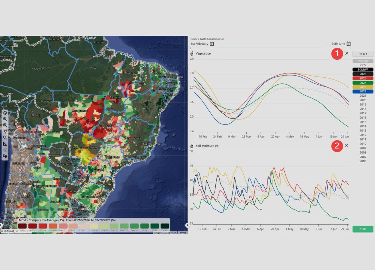Milho safrinha avança, mas calor acende alerta no Sul
