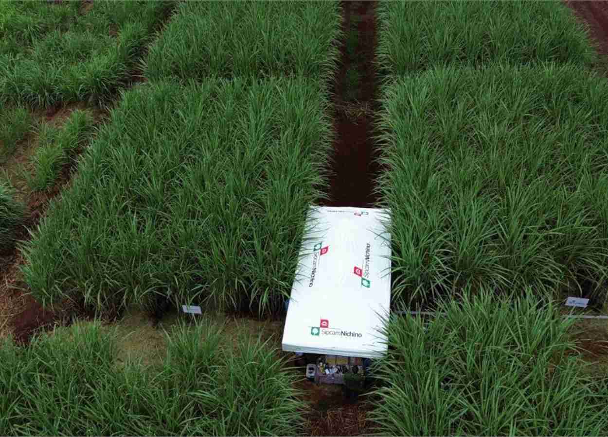 Acordo com Luxembourg Industries amplia oferta para algodão e cana