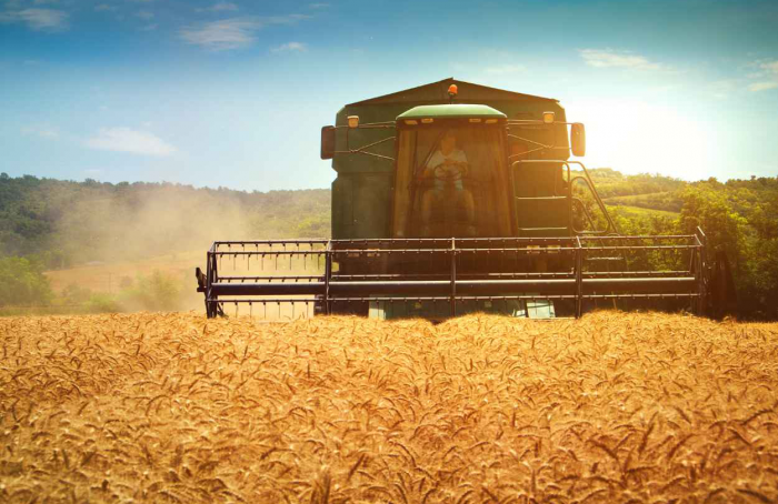 Grain harvesting machines