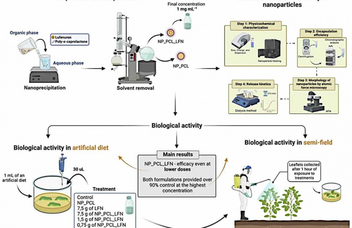 Nanoformulação prolonga ação do lufenuron contra lagarta