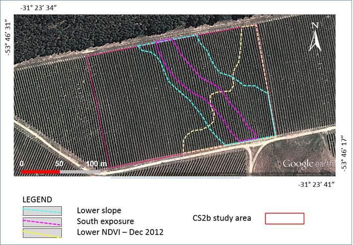 Agricultura de Precisão pode monitorar o campo de forma completa