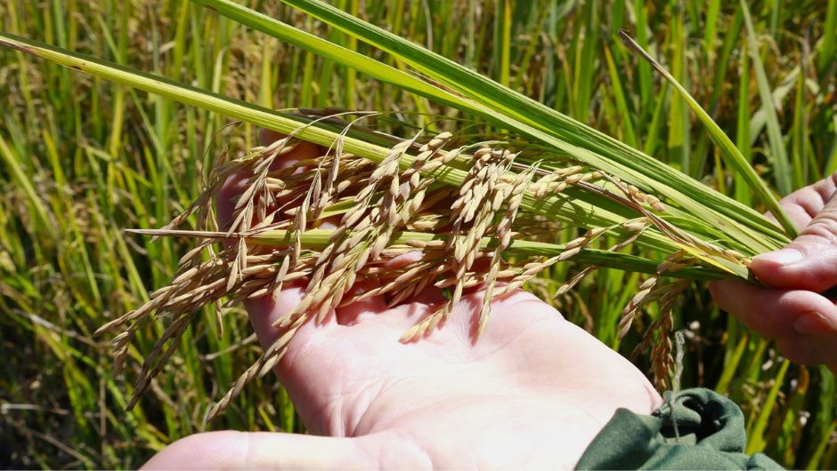 Foto:&nbsp;Monique Amboni