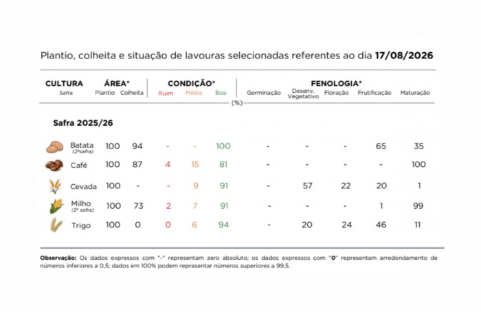 PR Safra 2025/26: chuvas limitam colheita do milho