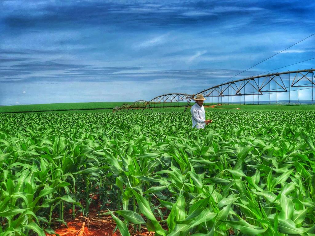 Demanda por monitoramento técnico de campos irrigados cresceu 15% em 2018