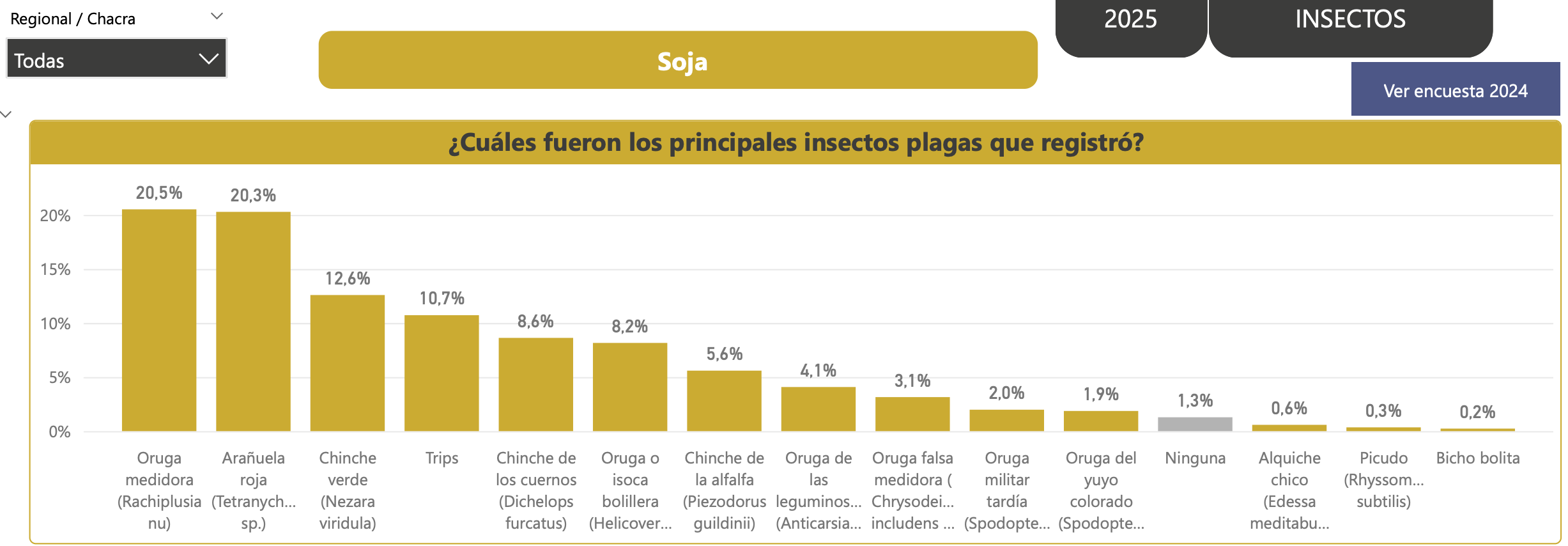 El ma&iacute;z con biotecnolog&iacute;a enfrenta nuevos desaf&iacute;os por la presi&oacute;n de plagas y obliga a ajustar el manejo agron&oacute;mico