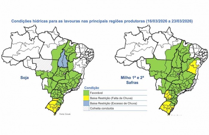 BR Safra 2025/26: colheita avança, mas clima afeta o ritmo
