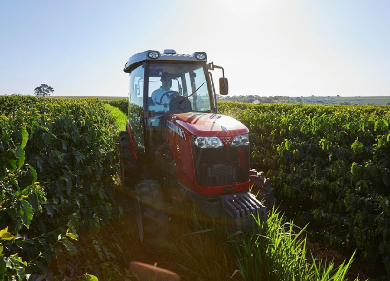 Mecanização impulsiona produtividade no cultivo do café