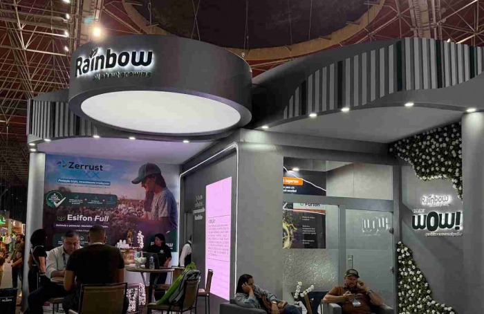 Rainbow amplia portfólio para algodão com lançamentos