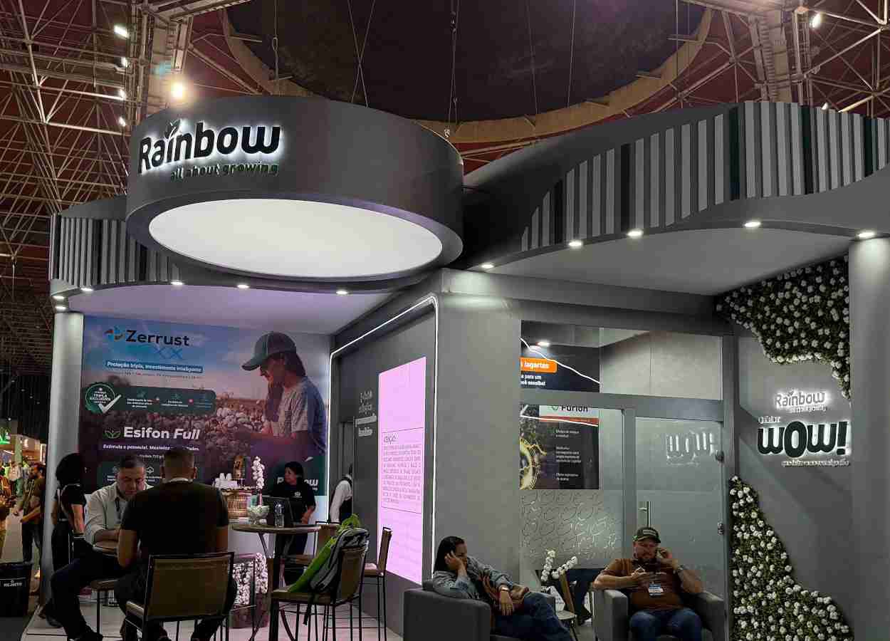 Rainbow amplia portfólio para algodão com lançamentos