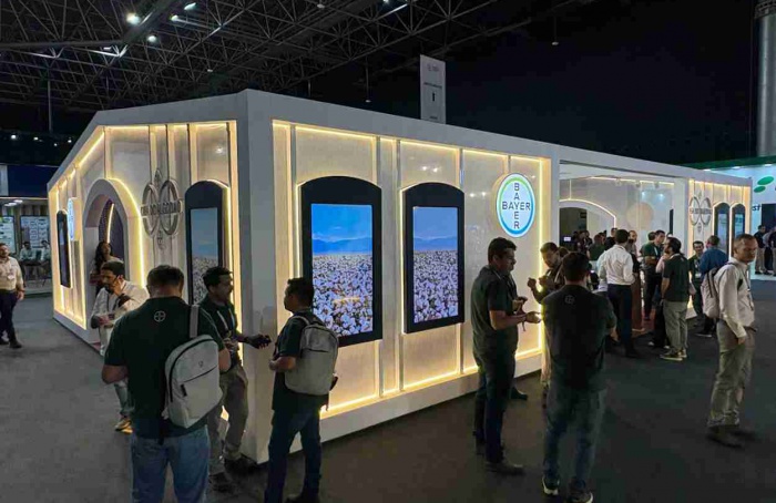 Bayer prevê quarta geração do Bollgard para 2028