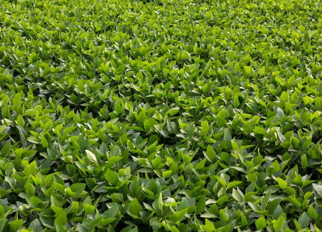 Associação afirma que acordo perdeu validade e destaca impacto das decisões do STF e do Cade