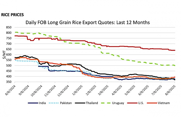 Produção global de arroz bate recorde e preços recuam