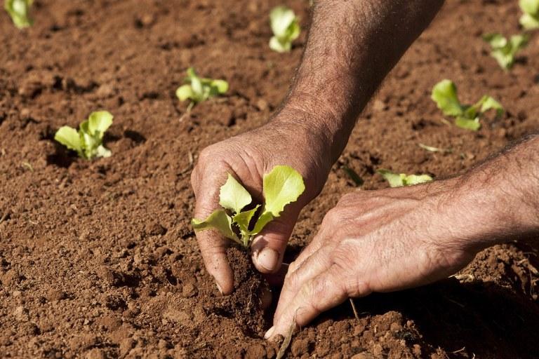 Governo vai ampliar acesso de cooperativas e associações às políticas da agricultura familiar