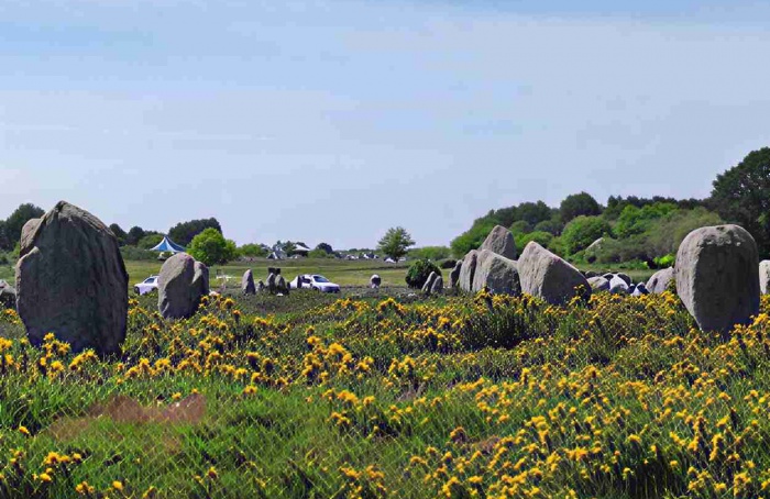 Agricultura tradicional impulsou a biodiversidade europeia por milênios