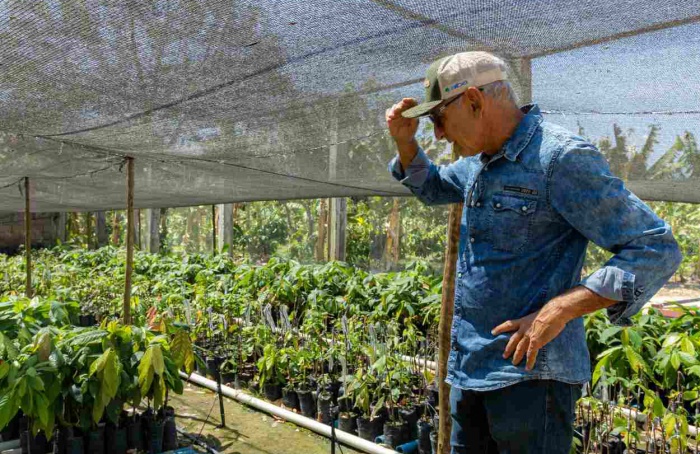 Expansão do mercado de frutas nacional é tema de seminário na Bahia