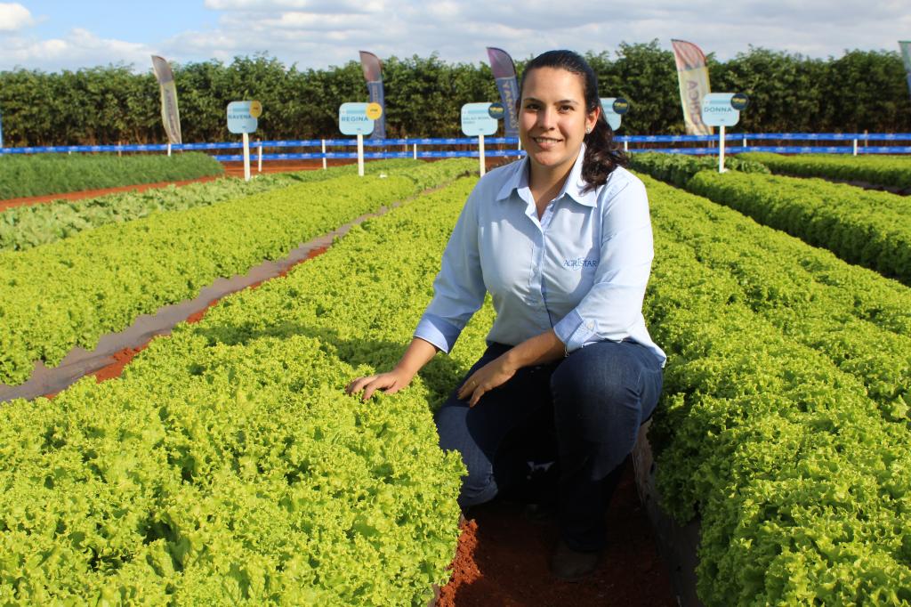 Agristar creates lettuce improvement program