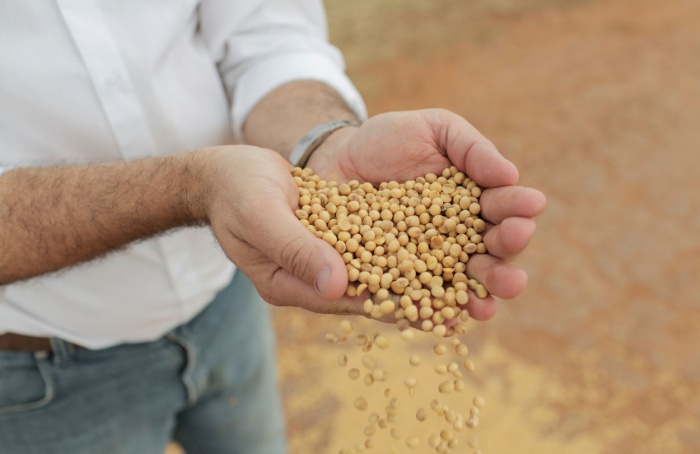 Bayer cria programa para compra de sementes de soja no RS