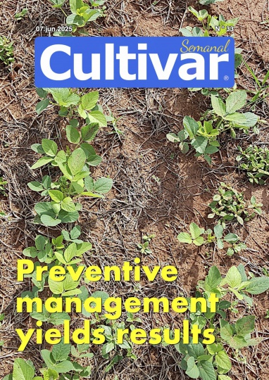 Cultivar Semanal 33