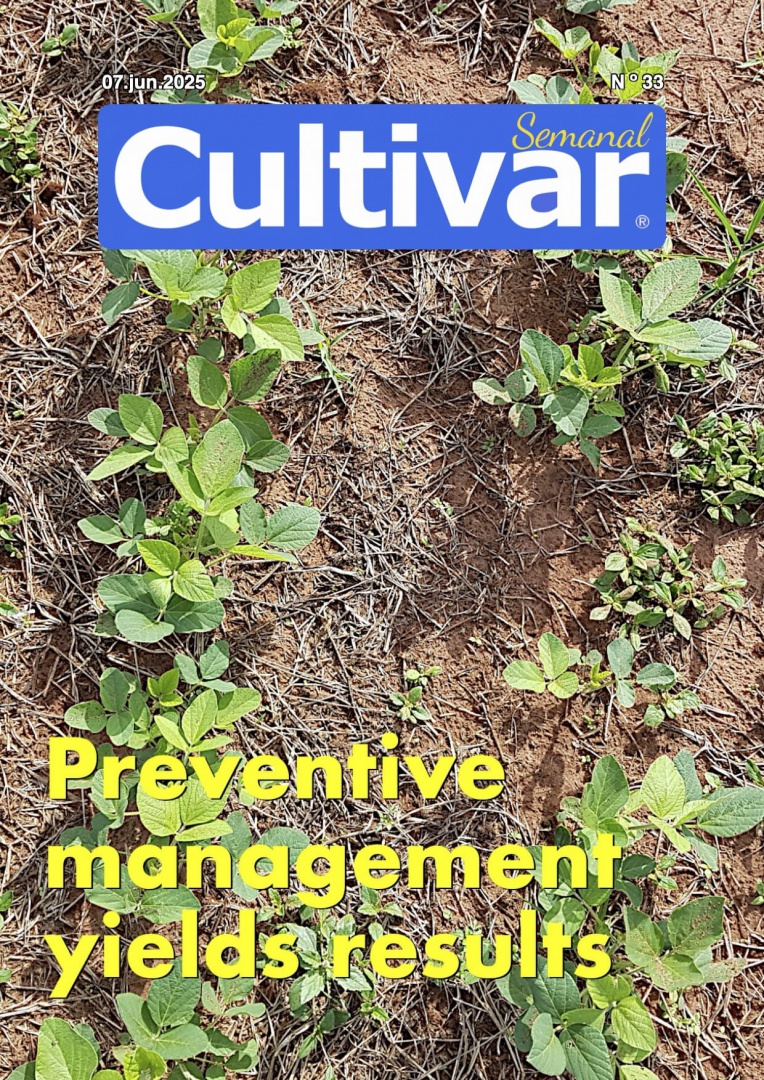 Cultivar Semanal 33