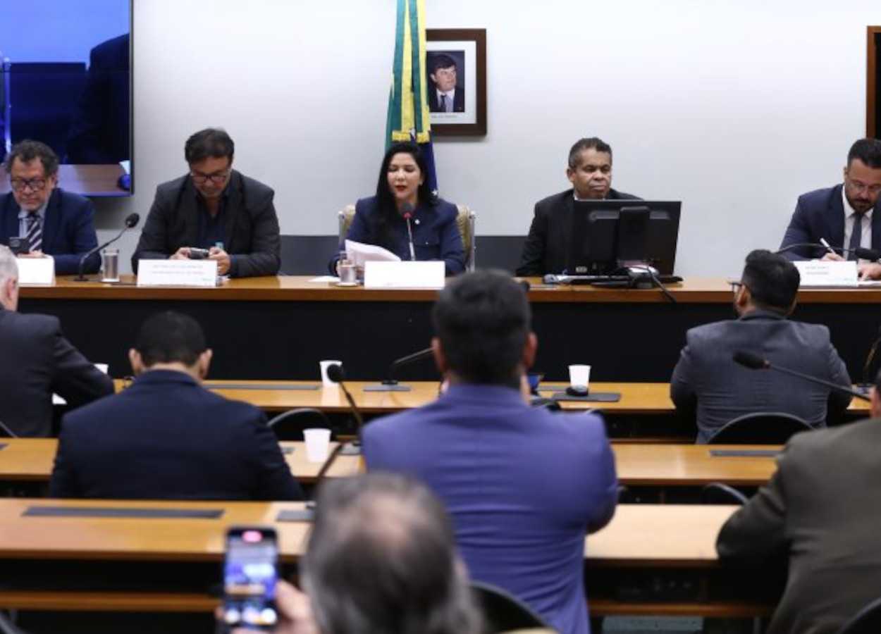 Parlamentares buscam saída para embargos do Ibama na Amazônia Legal