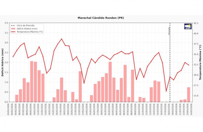 Chuvas irregulares prejudicam milho safrinha no Paraná