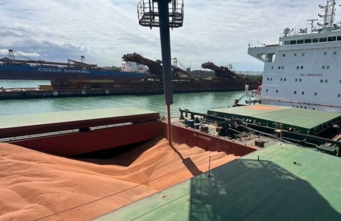 VLI inicia transporte ferroviário de sorgo para exportação