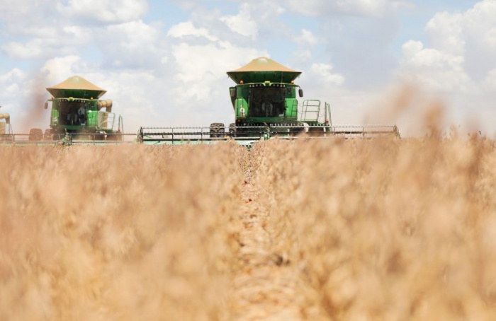 Produção de soja no DF deve render R$ 1 bilhão em 2025/26