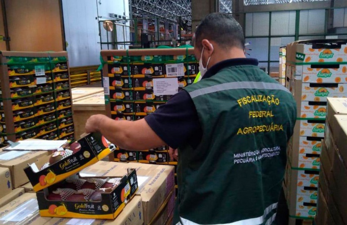 Novos auditores fiscais reforçam fiscalização do agro