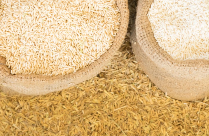 Exportação de arroz cresce 82% em maio de 2025