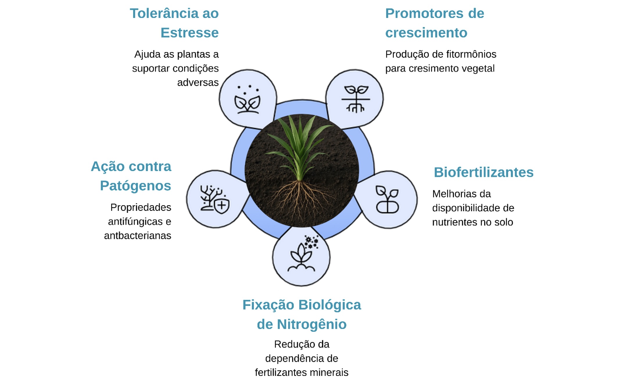 Figura 2 - algumas características benéficas do uso das microalgas na agricultura