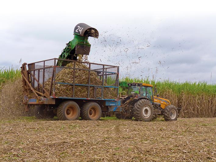 Cana: aplicação foliar de fungicidas é sinônimo de produtividade - Portal  Mais AgroPortal Mais Agro