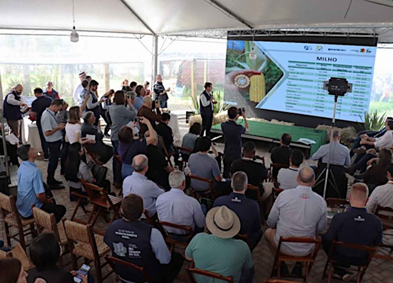 Produção estadual pode atingir 35,3 milhões de toneladas