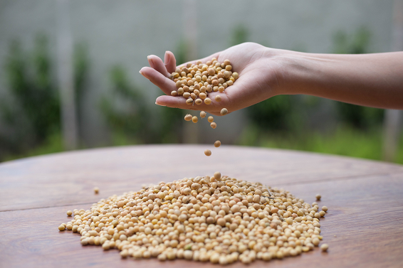 GenesisGroup destaca soluções para garantir qualidade dos grãos no RS