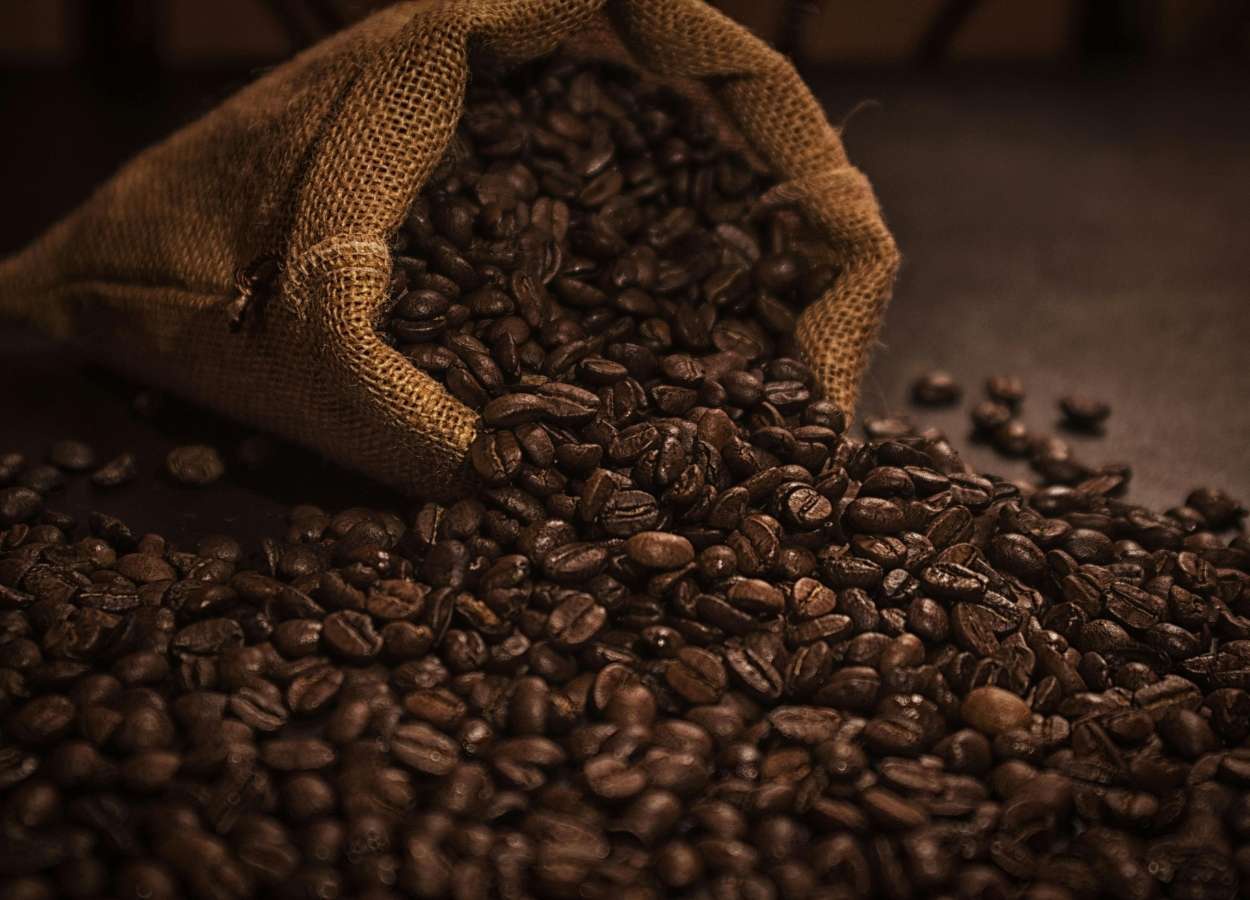 Estoques de café na Europa recuam ao menor nível desde 2024