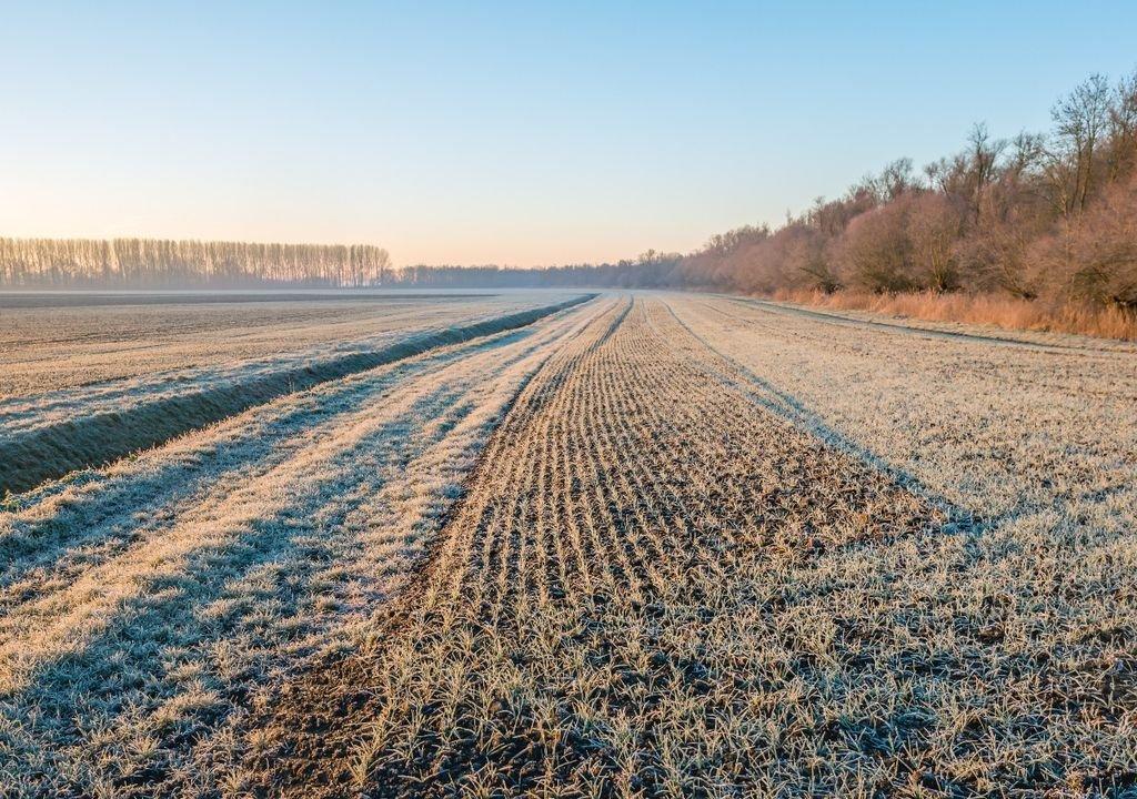 Clima prejudica a produção agrícola e setor busca alternativa para se proteger