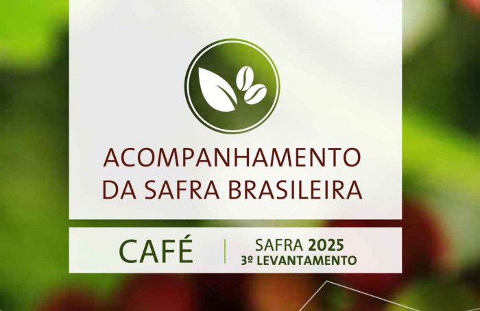 Safra de café 2025 cresce 1,8% e chega a 55,2 milhões de sacas