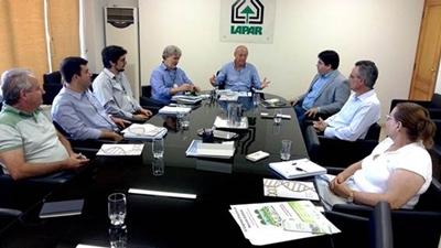 IAPAR e Embrapa envidam esforços para o desenvolvimento de variedades de feijão resistentes ao mosaico dourado