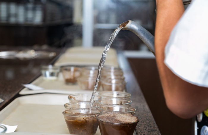 Expocacer disponibiliza mapeamento de qualidade de café