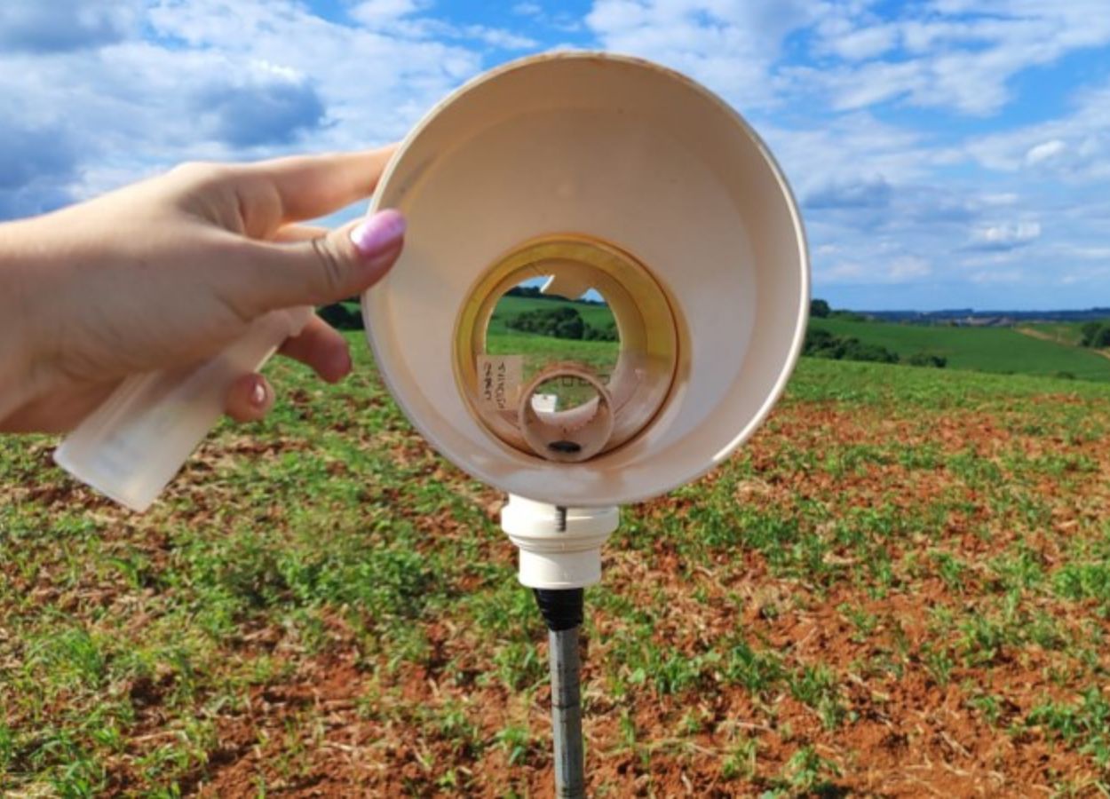 Programa ampliou a cobertura na safra 2025/26 e acompanhou a doença em 95 municípios