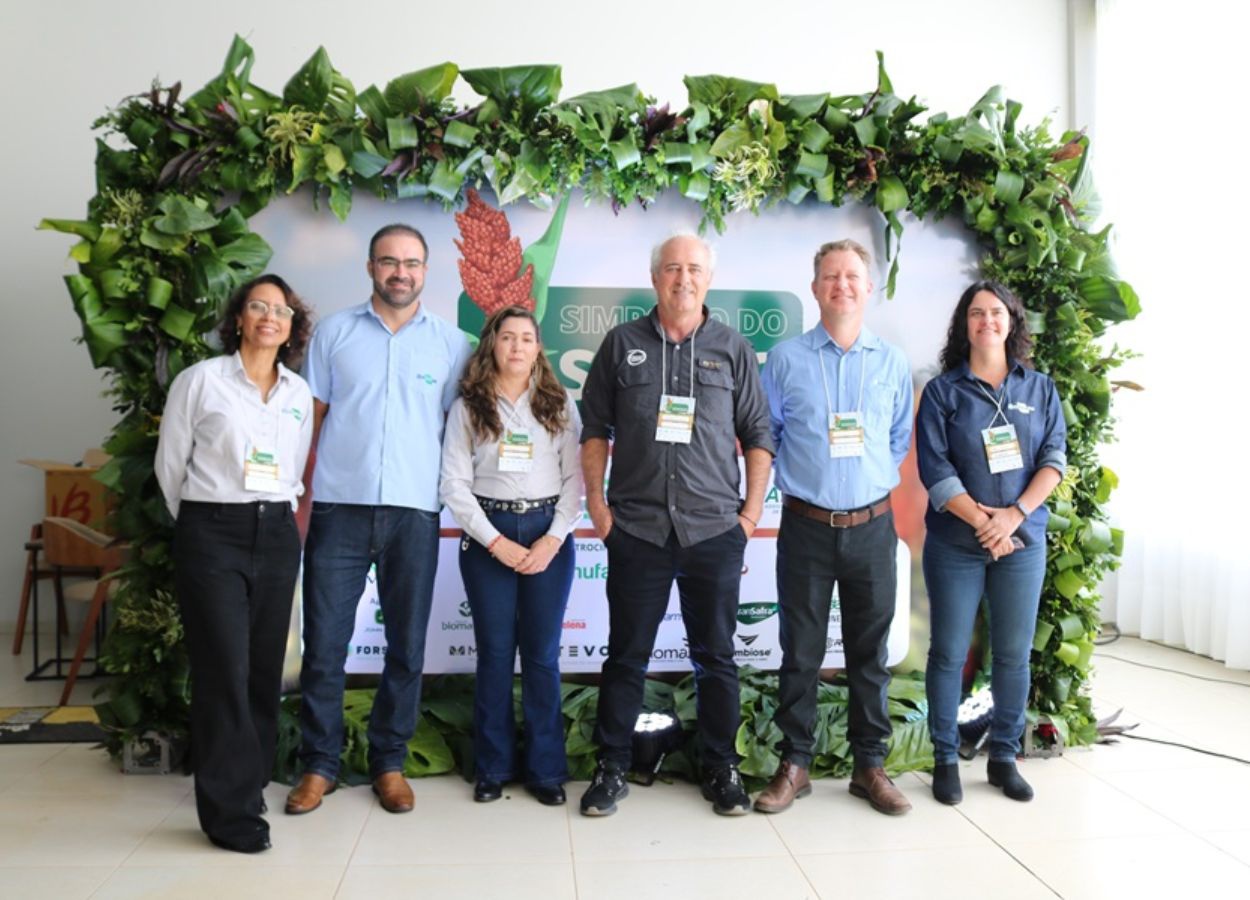 Sorgo ganha espaço no Maranhão e no Oeste da Bahia