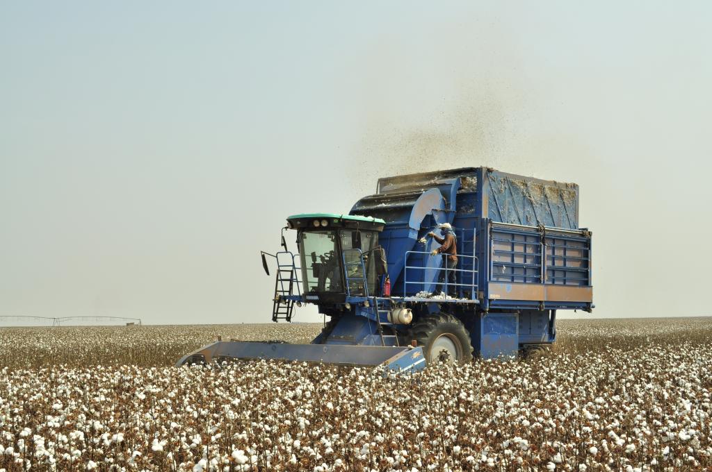 Regulagem de colhedoras de algodão