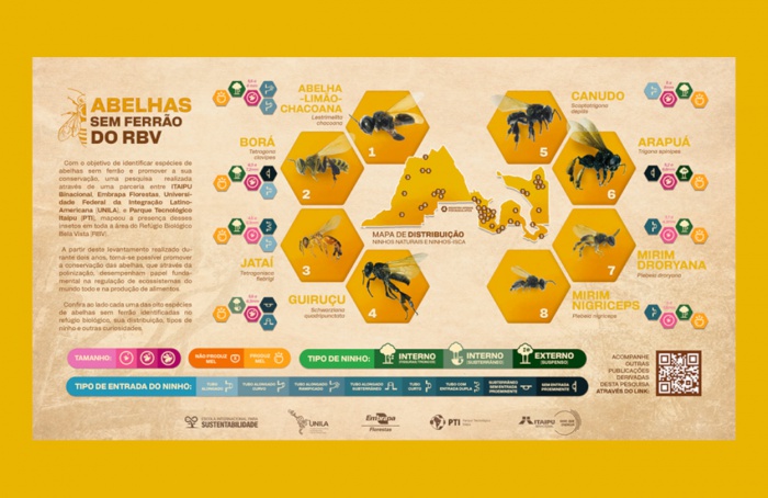 Espécies de abelhas-sem-ferrão são identificadas em refúgio biológico no Paraná