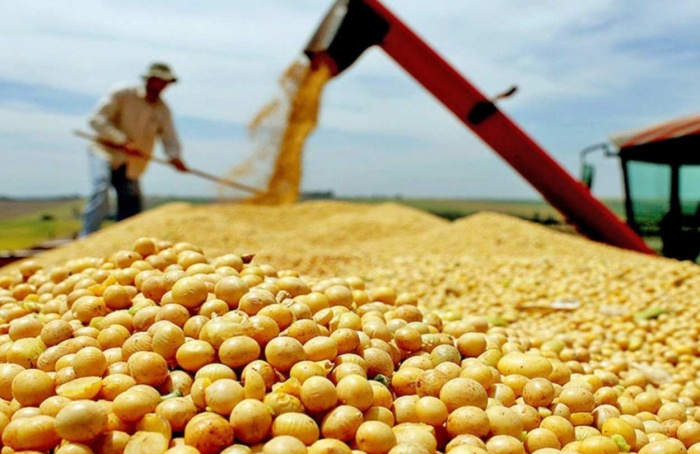 Tocantins colhe 9,1 milhões de toneladas de grãos em 2024/25