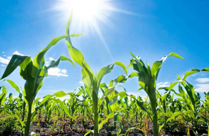 Trimestre de julho a setembro terá clima seco e quente