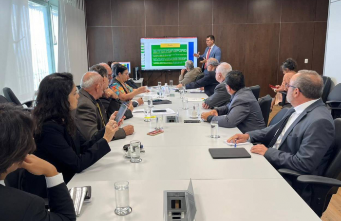 Auditores Agropecuários realizam nova reunião com o Ministério da Gestão