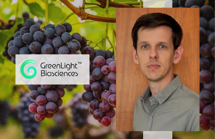 GreenLight pede registro do 1º fungicida à base de RNA do país