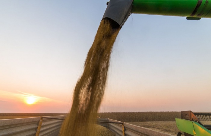 Abiove projeta recordes históricos para o complexo soja em 2026