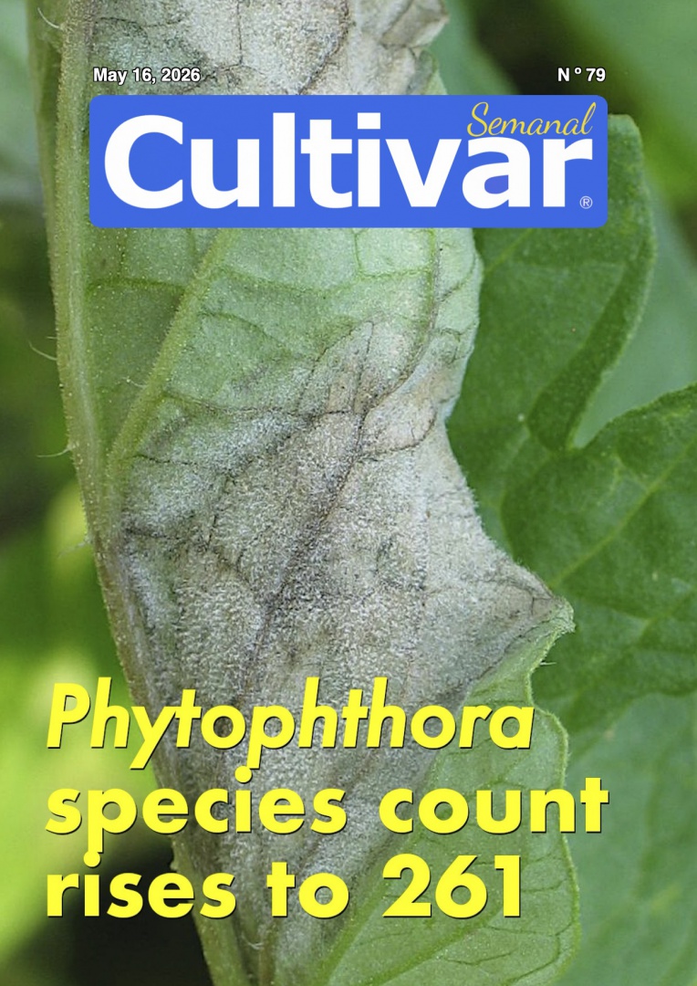 Cultivar Semanal 79