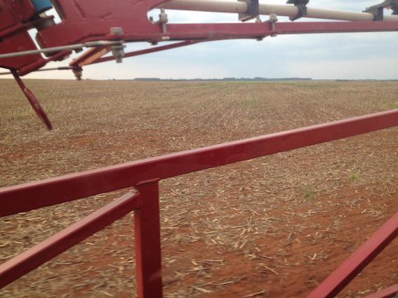 Chuva de granizo gera replantio na Região Sul de Mato Grosso